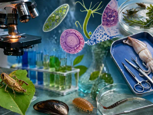 Basic Skills for Biology