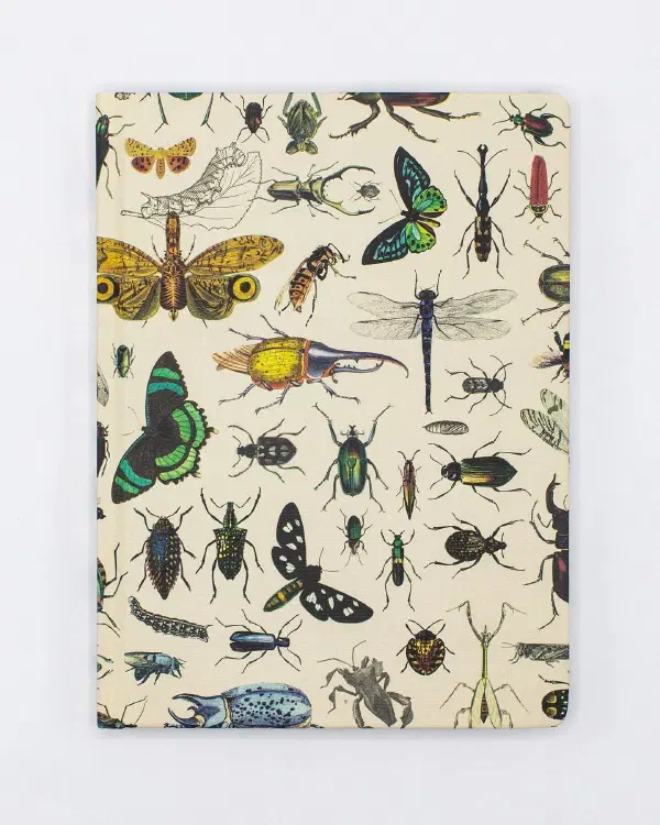 Insect Journal Club