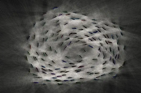 Advanced Course in Collective Behavior